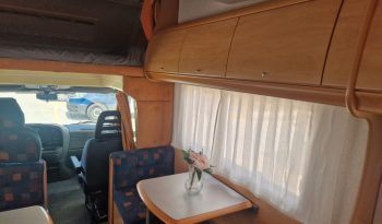 Capuchina Elnagh Joxy lleno